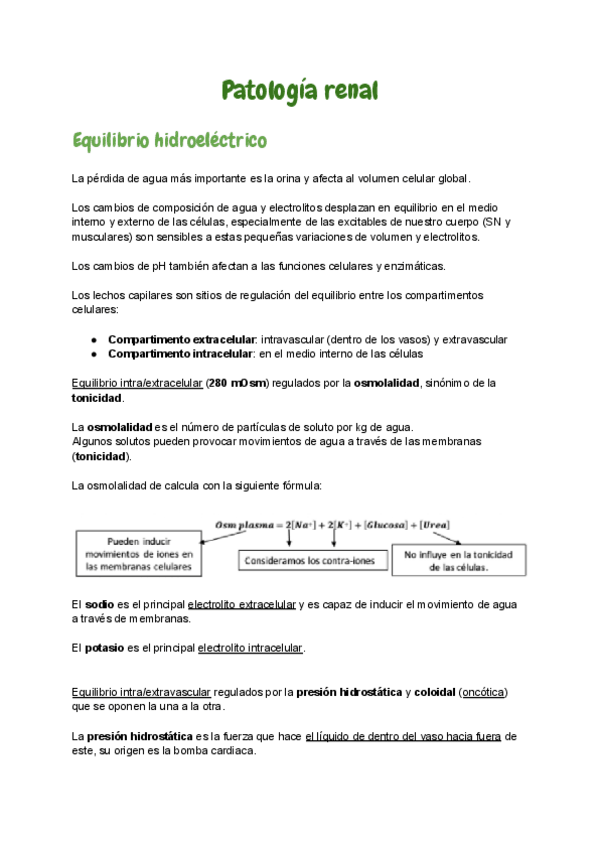 Miniatura del documento 9.pdf