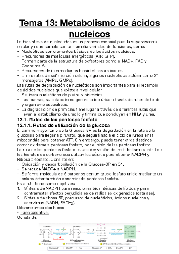 Miniatura del documento Procesos-Biologicos-III-Tema-13.pdf