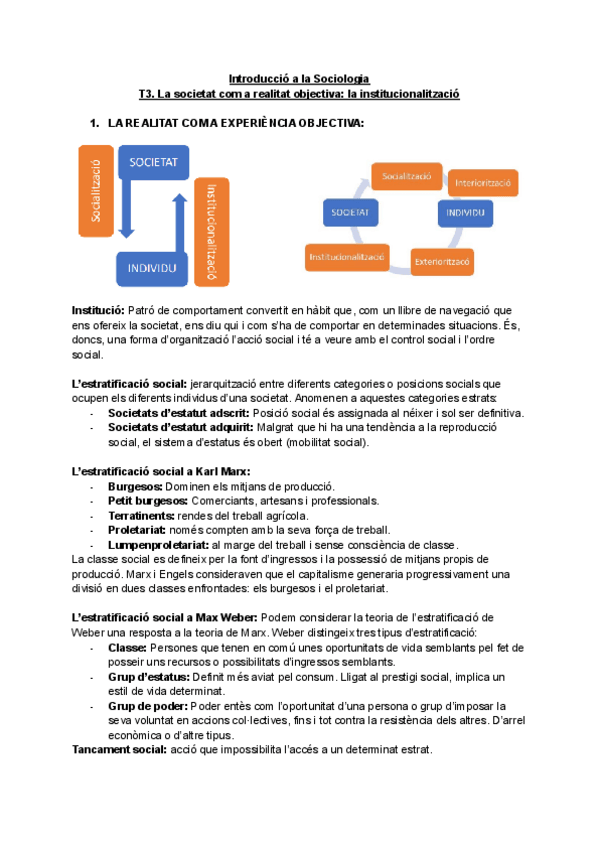 Miniatura del documento T3.-La-societat-com-a-realitat-objectiva-la-institucionalitzacio.pdf