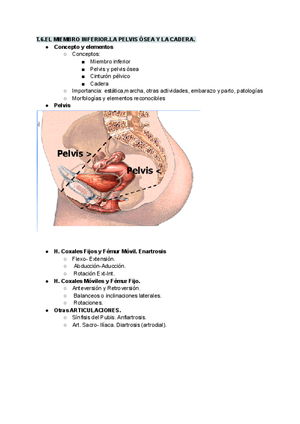 Miniatura del documento TEMA-6-EL-MIEMBRO-INFERIOR-PELVIS-OSEA-Y-LA-CADERA.pdf