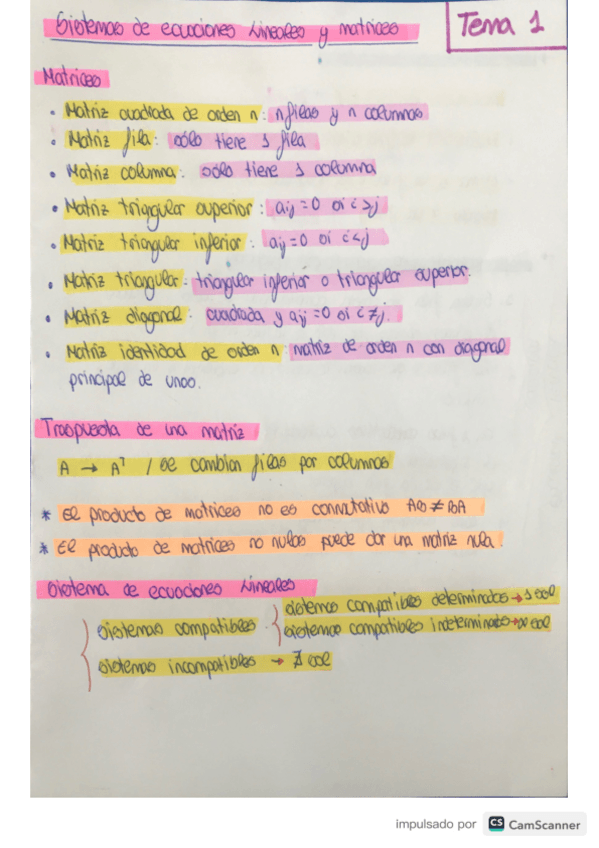 Miniatura del documento esquema-resumen-tema-1-1.pdf