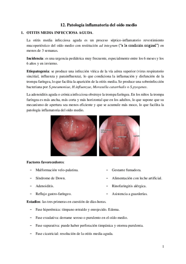 Miniatura del documento 12.-Patologia-inflamatoria-del-oido-medio.pdf