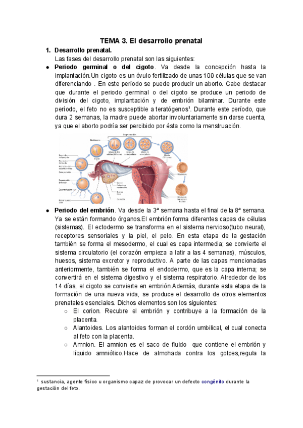 Miniatura del documento TEMA-3.pdf