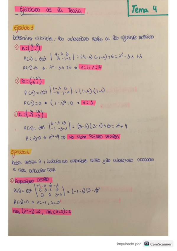 Miniatura del documento ejercicios-de-la-teoria-tema-4.pdf