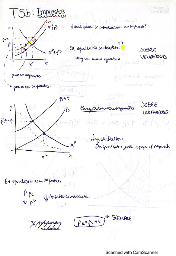 Miniatura del documento micro-1-t5-impuestos.pdf