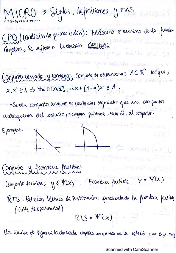 Miniatura del documento MICRO-I-RESUMEN-EXAMEN.pdf