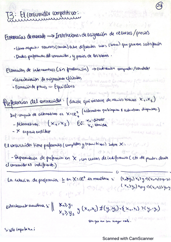 Miniatura del documento micro-I-T3-el-consumidor-competitivo.pdf