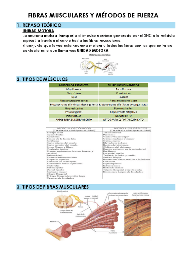 Miniatura del documento TEMA-9.pdf