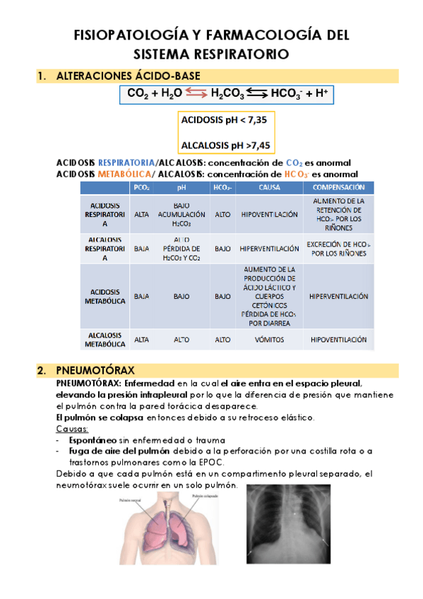 Miniatura del documento 2.2.-FISIOPATOLOGIA-Y-FARMACOLOGIA-DEL-SISTEMA-RESPIRATORIO.pdf