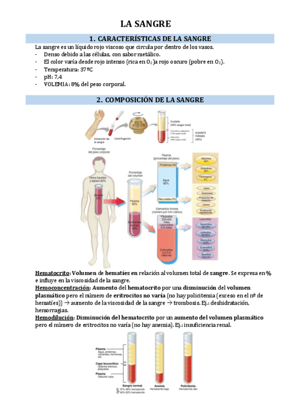 Miniatura del documento 1.1.LA-SANGRE.pdf