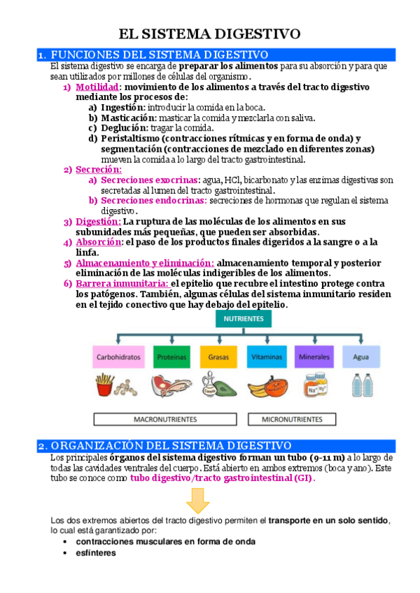 Miniatura del documento 3.1.-EL-SISTEMA-DIGESTIVO.pdf