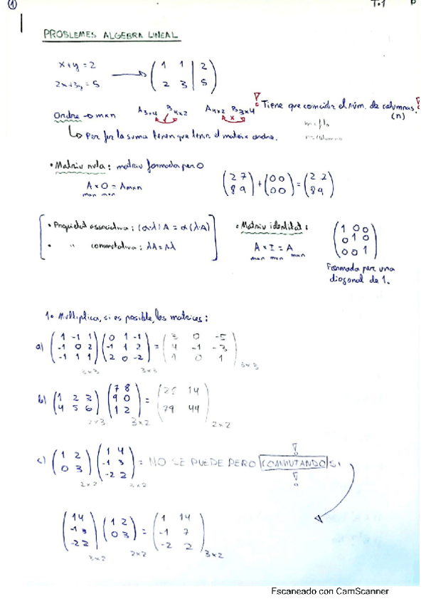 Miniatura del documento problemas-algebra-lineal.pdf