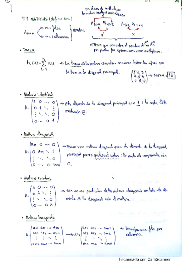 Miniatura del documento tema-1-matrices-definiciones.pdf