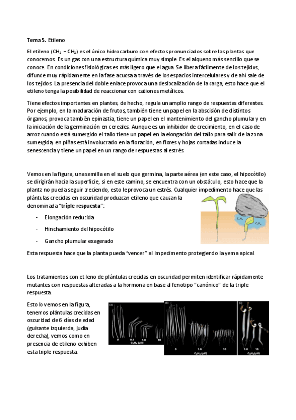 Miniatura del documento Tema-5.-Etileno.pdf