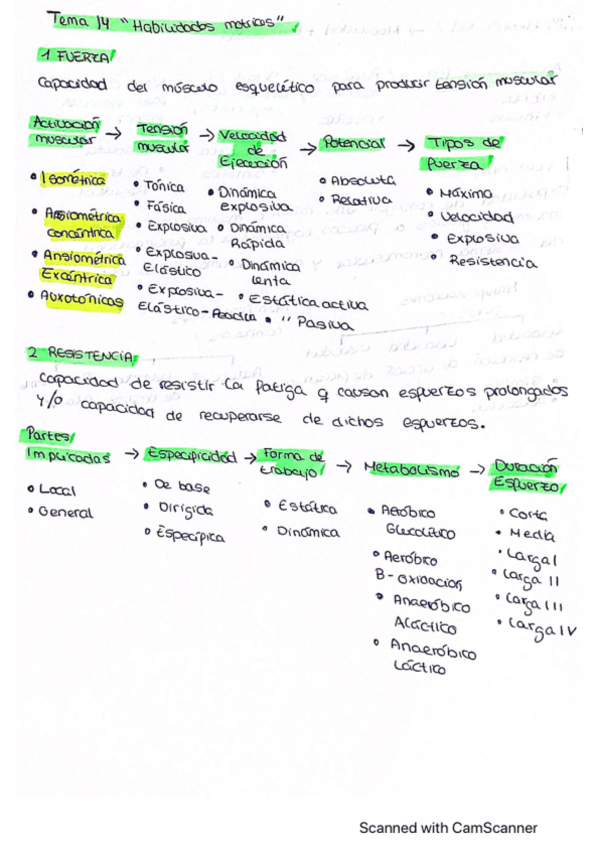 Miniatura del documento Tema-14.pdf