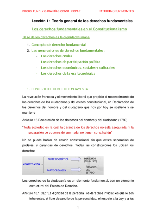 Miniatura del documento tema-1-DERECHOS-FUNDAMENTALES-Y-GARANTIAS-CONSTITUCIONALES.pdf