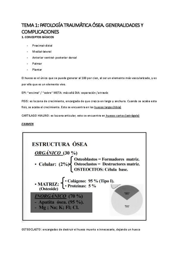 Miniatura del documento Tema-1.pdf