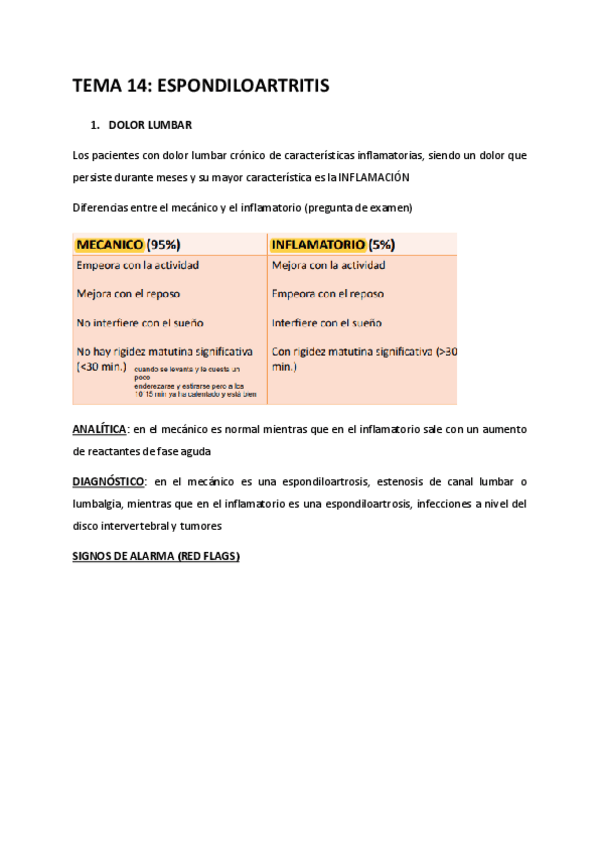 Miniatura del documento Tema-14-AMQI.pdf