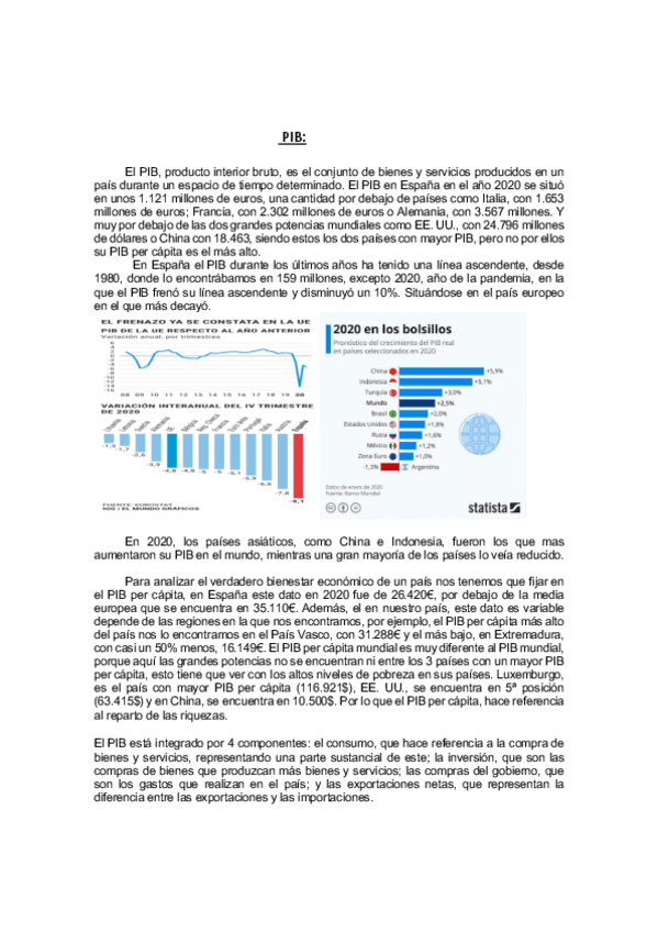 Miniatura del documento PIB.pdf