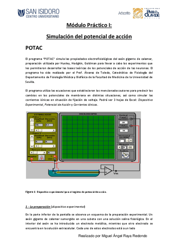 Miniatura del documento 1.-Practica-potencial-de-membrana.pdf