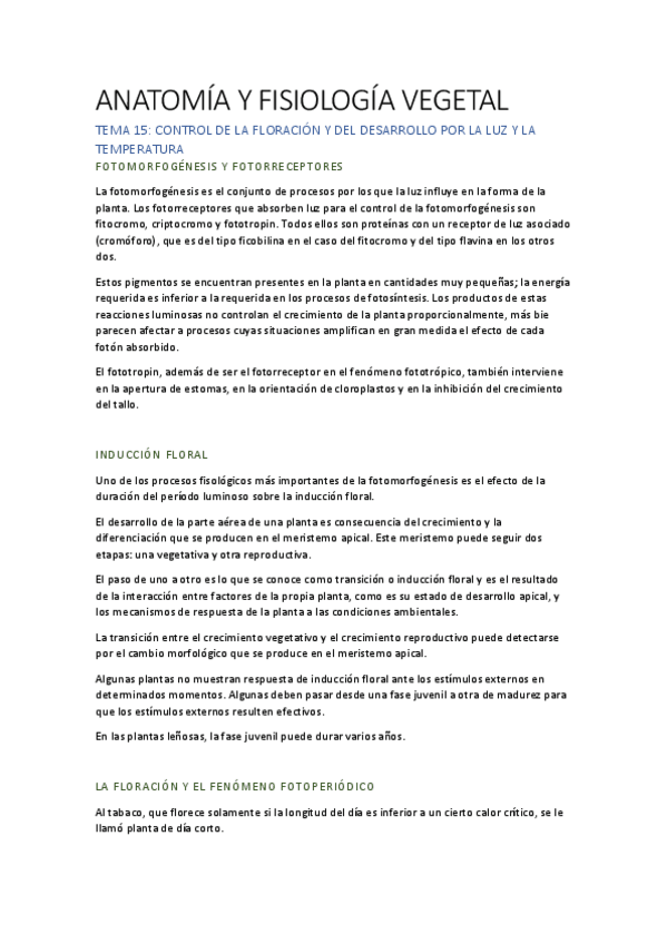 Miniatura del documento AFV T15.pdf