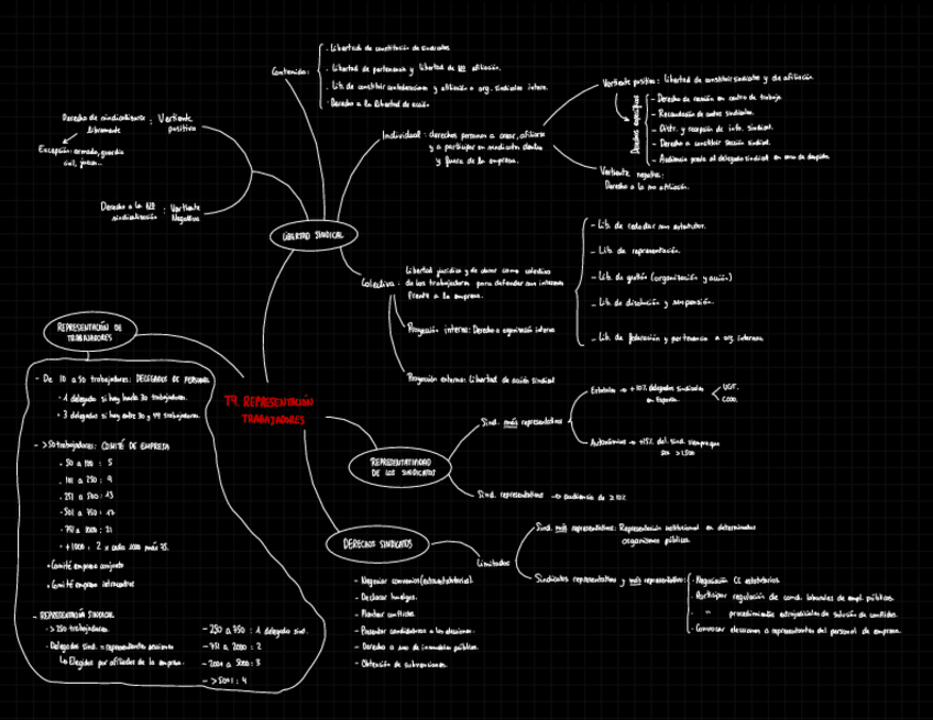 Miniatura del documento Resumen-T9.-Representacion-Trabajadores.pdf
