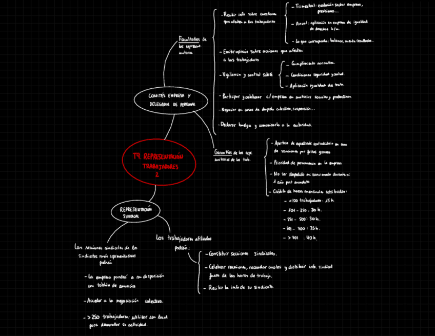 Miniatura del documento Resumen-T9.2.-Representacion-Trabajadores.pdf
