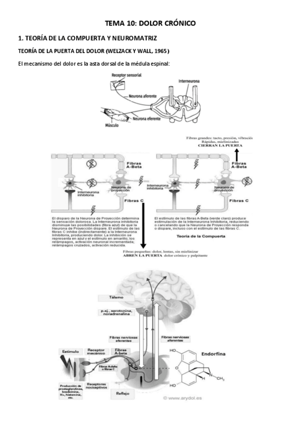 Miniatura del documento TEMA-10.pdf