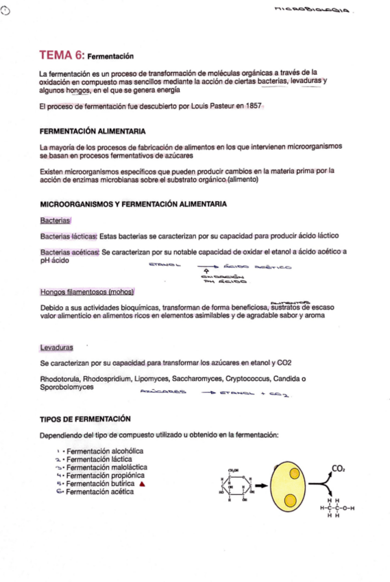 Miniatura del documento micro-tema-6.pdf