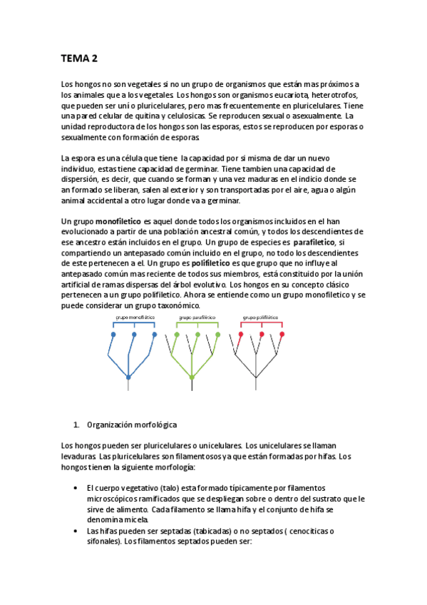 Miniatura del documento TEMA 2-6.pdf