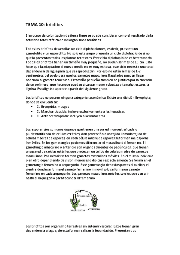 Miniatura del documento TEMA 10.pdf