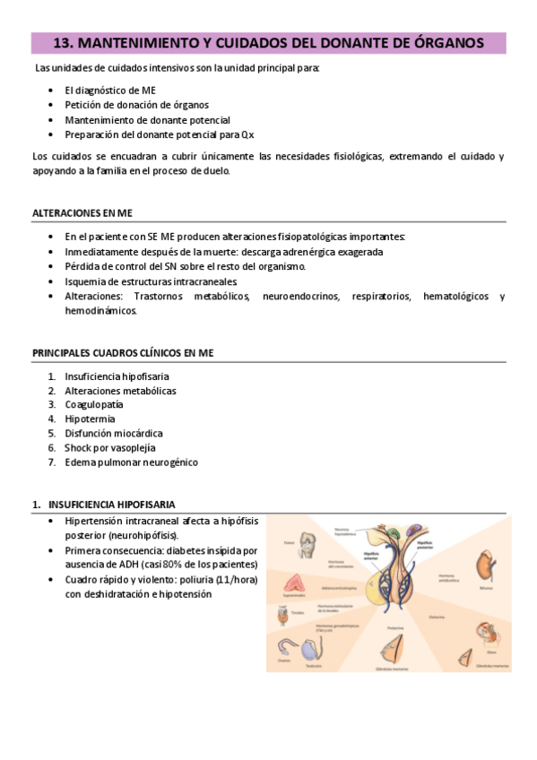 Miniatura del documento 13.-Mantenimiento-y-cuidados-del-donante.pdf