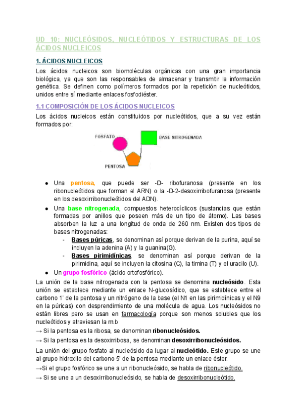 Miniatura del documento Tema-10-NUCLEOSIDOS-NUCLEOTIDOS-Y-ESTRUCTURAS-DE-LOS-ACIDOS-NUCLEICOS.pdf