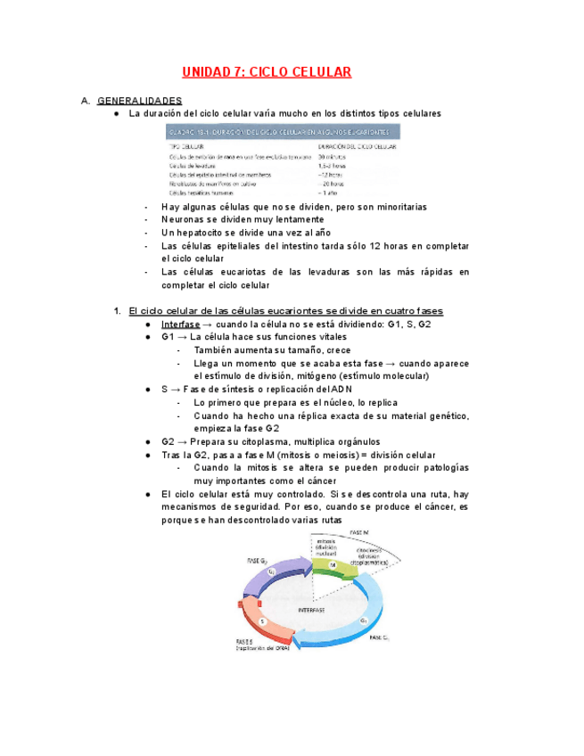 Miniatura del documento APUNTES-TEMA-7.pdf
