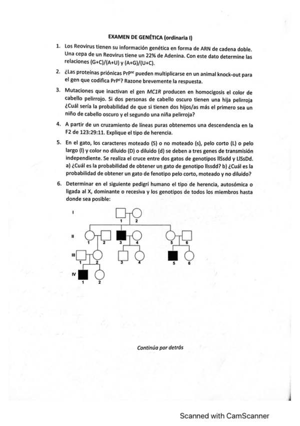 Miniatura del documento Examen Genética Ordinaria I.pdf