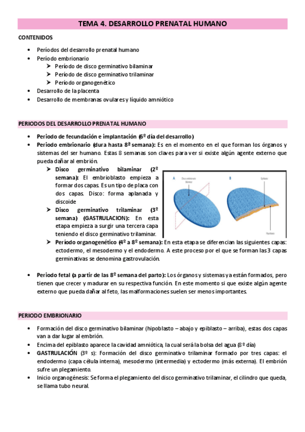 Miniatura del documento TEMA-4.pdf