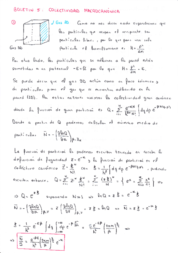 Miniatura del documento BOLETIN-5-COLECTIVO-GRAN-CANONICO.pdf