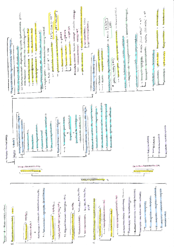 Miniatura del documento BIOQUIMICA-TEMA-1-BIOMOLECULAS.pdf