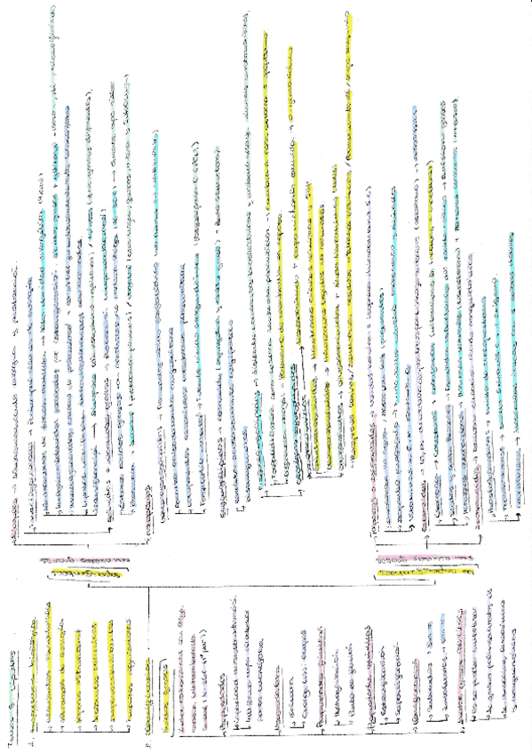 Miniatura del documento BIOQUIMICA-TEMA-3-LIPIDOS.pdf
