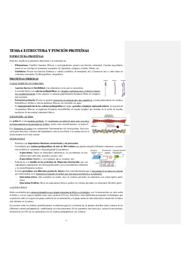 Miniatura del documento BIOQUIMICA-TEMA-6-ESTRUCTURA-Y-FUNCION-PROTEINAS.pdf