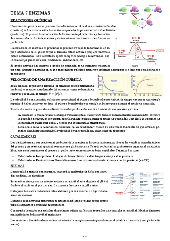 Miniatura del documento BIOQUIMICA-TEMA-7-ENZIMAS.pdf