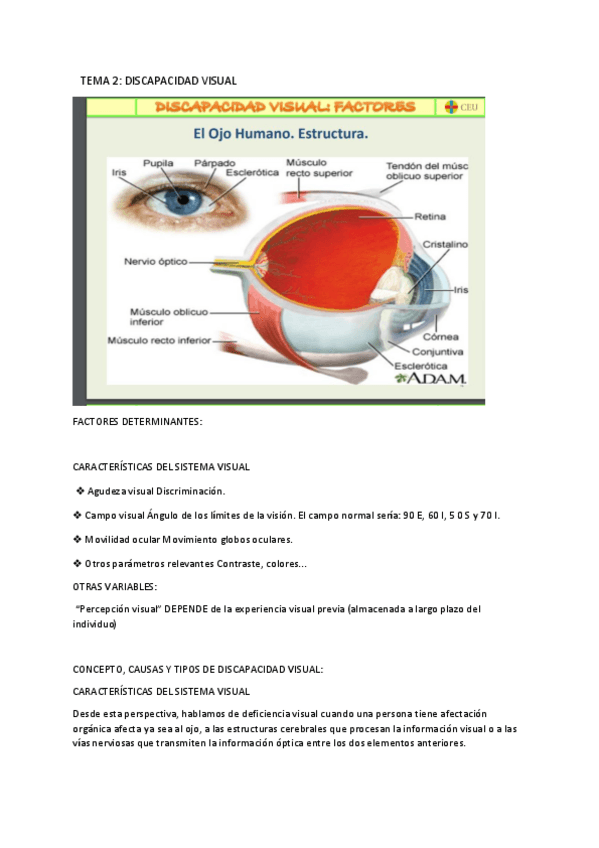 Miniatura del documento tema-2-1.pdf