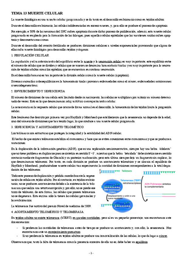 Miniatura del documento BIOLOGIA-CELULAR-Y-TISULAR-TEMA-13-Y-14-MUERTE-CELULAR-Y-CELULAS-MADRE.pdf