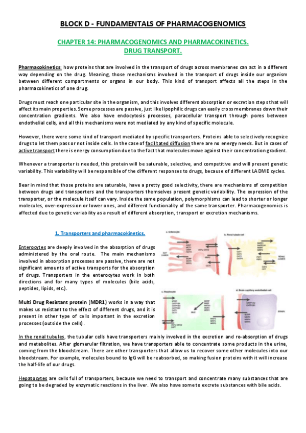 Miniatura del documento Lesson 14.pdf