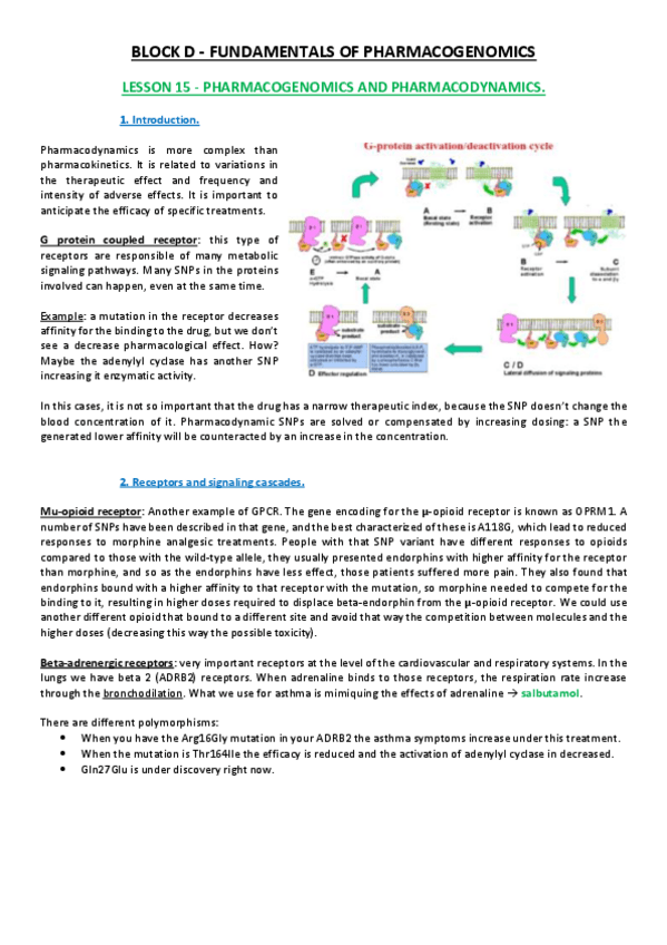 Miniatura del documento Lesson 15.pdf