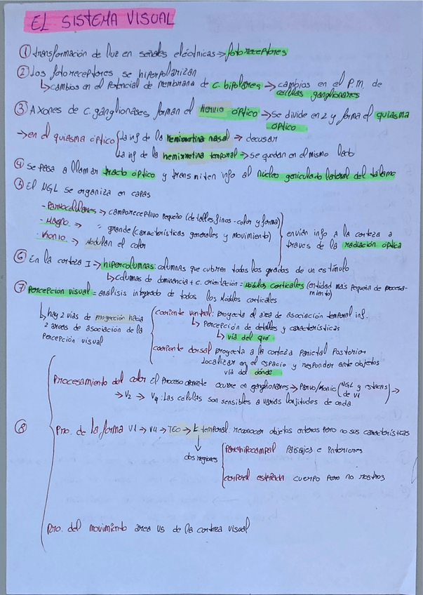 Miniatura del documento Tema-3-resumido-3-caras.pdf