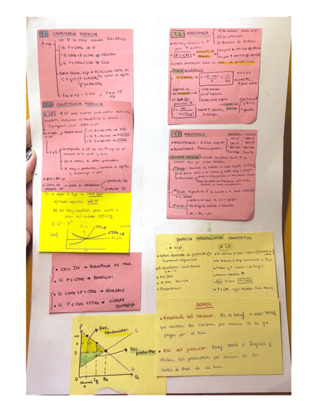 Miniatura del documento TODO-LO-NECESARIO-PARA-APROBAR.-MICRO-II.pdf