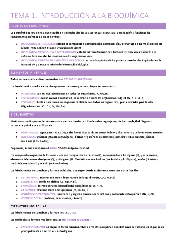 Miniatura del documento RESUMEN-BQ.pdf