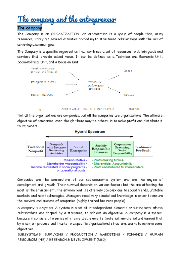 Miniatura del documento 1-The-company-and-the-entrepreneur.pdf