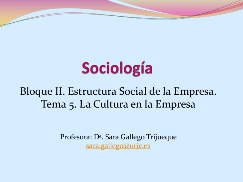 Miniatura del documento TEMA5-SOCIOLOGAA-DE-LAS-RELACIONES-LABORALES.pdf